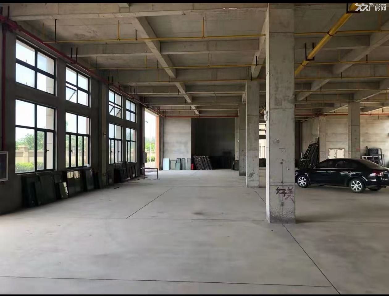 黄陂优质框架厂房仓库面积灵活,优价直租,可分租整租 - 5
