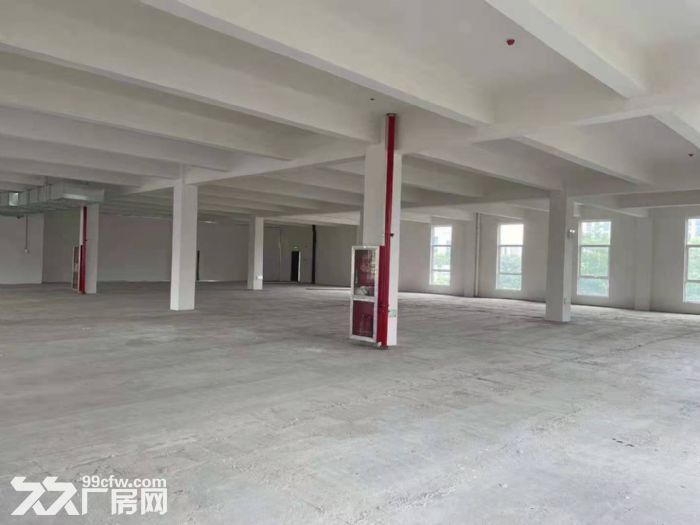 钢结构厂房出租,可环评,长租 - 2