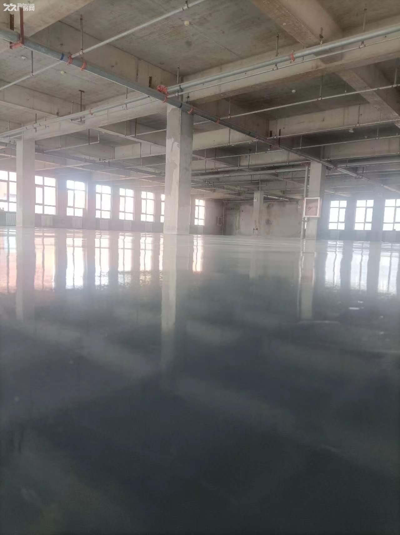 （带装修）3500平多层厂房，独立房本，可环评 - 3