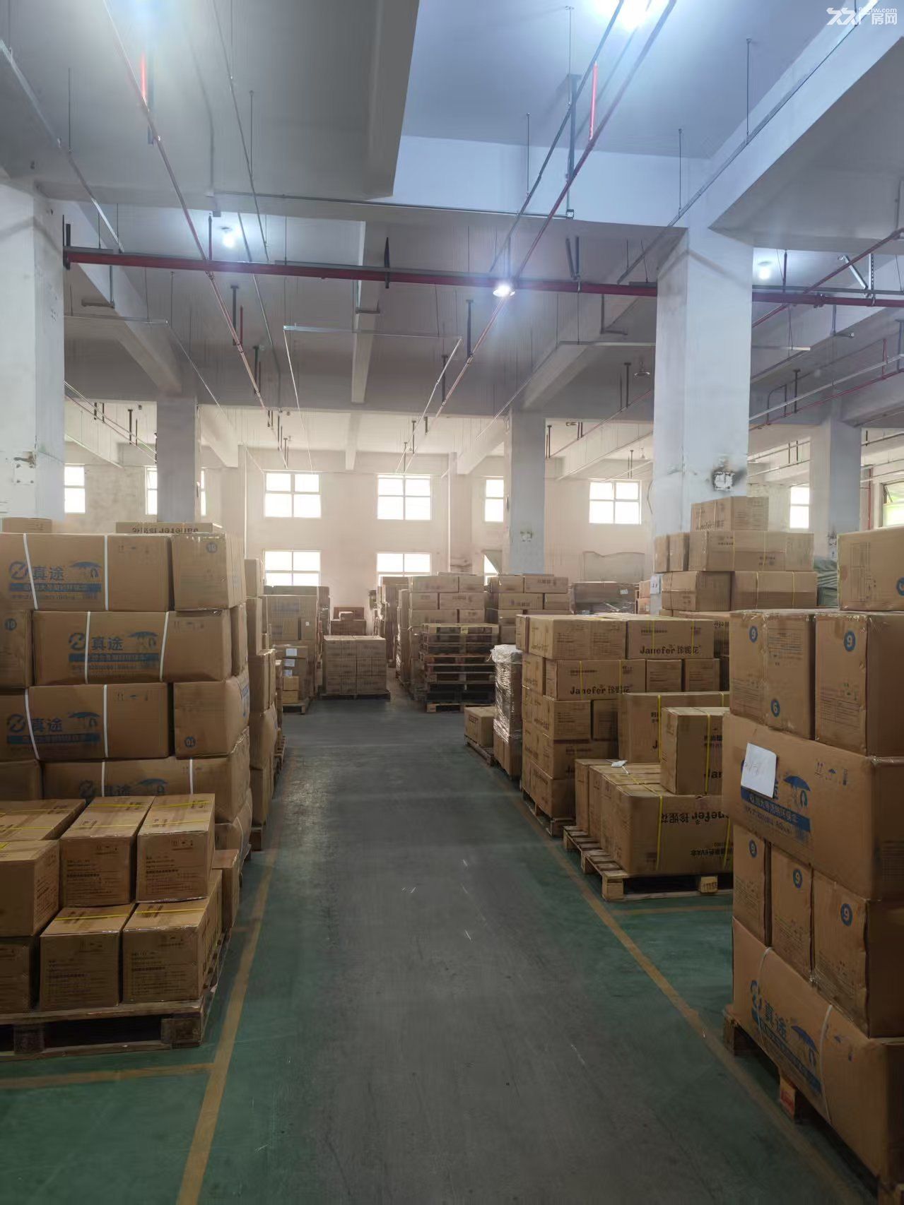 松江新桥工业区1050平一楼厂房出租