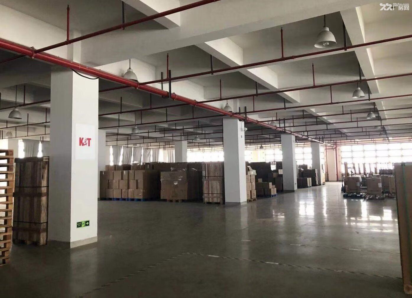 乌牛东蒙工业区稀缺超值超实惠厂房出售! - 3