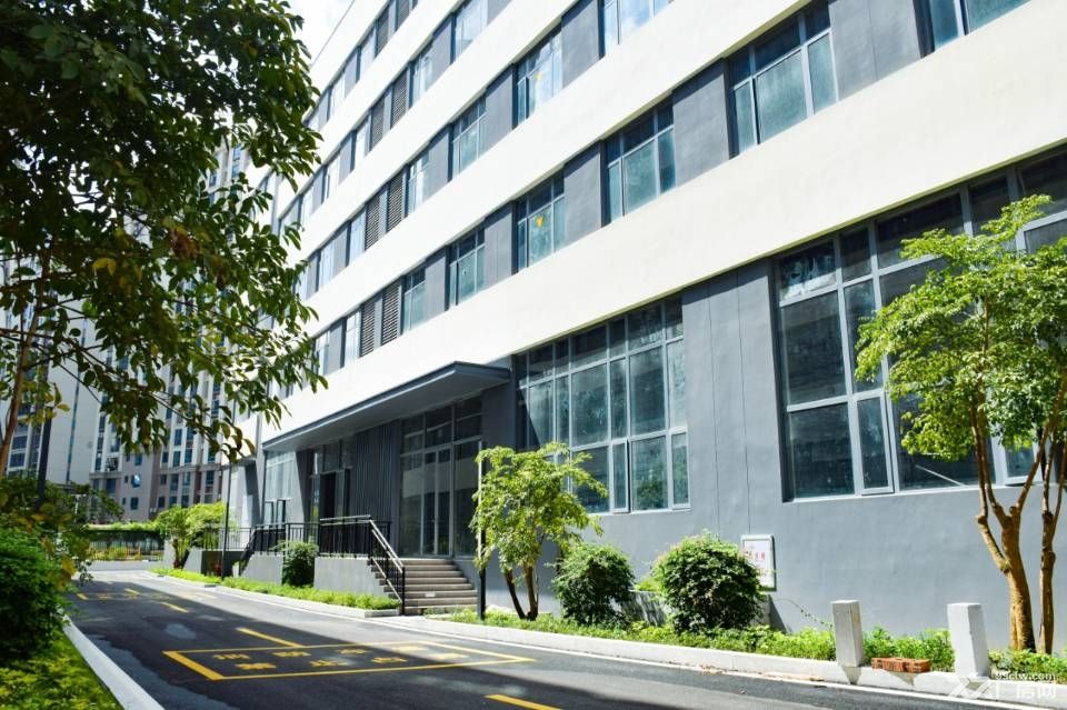 洛江区双阳街道海丝数字城4400国企厂房出售 - 5