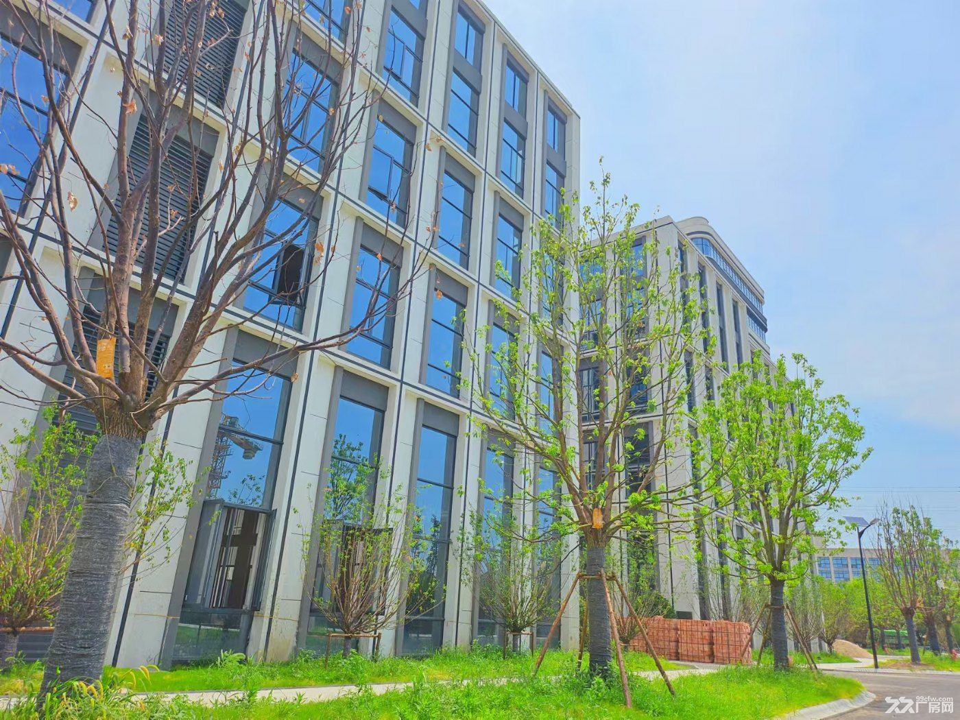 青山湖科技城宝龙旁边 现房最后两栋四层双联户型 落地800平方 - 5
