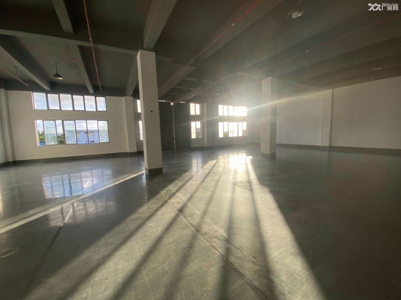 房东直租:南翔小面积厂房仓库,100平起租,园区有宿舍,园区环境很好 - 4