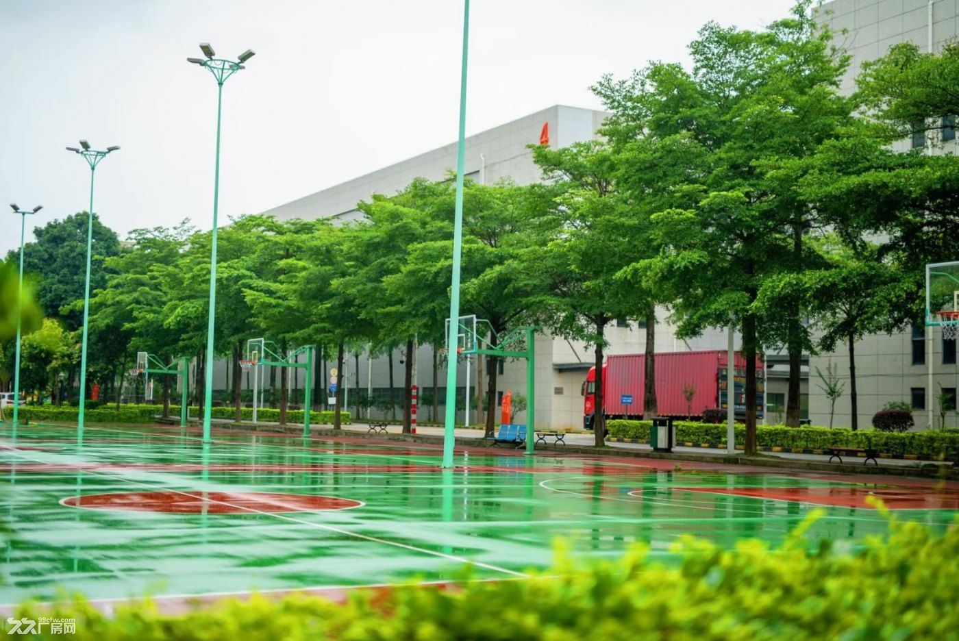 深圳龙华大浪原房东工业园区招租可分租 - 2