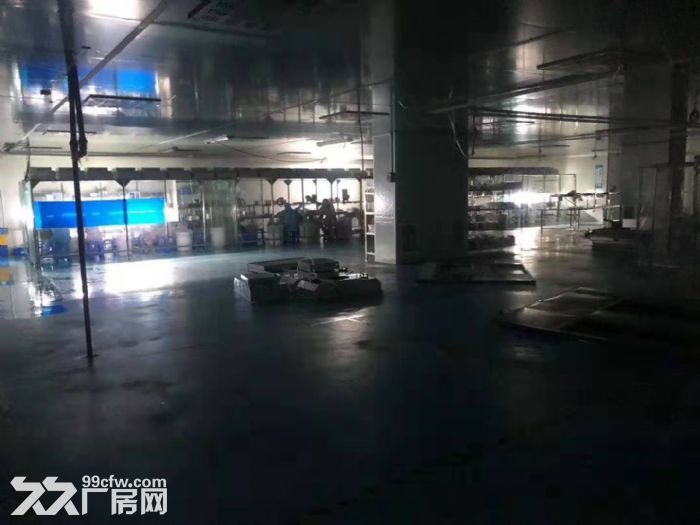 塘厦近深圳观兰 独院厂房出租6840平 现成千级无尘车间 - 5