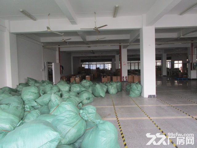 1000方厂房出租,配3T大货梯,办公服装设计等 - 7