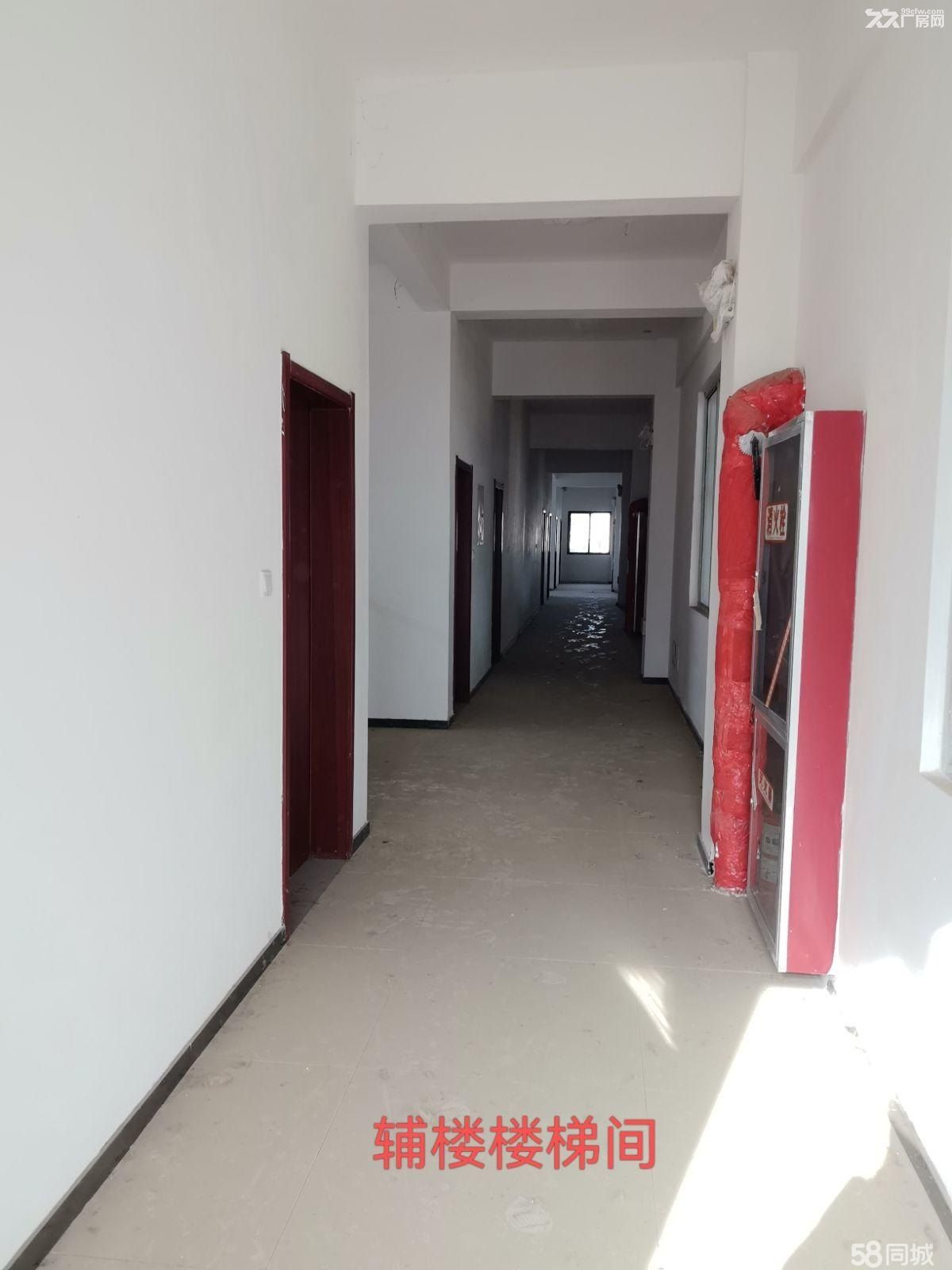 厂房出租蔡家坡百万平方米标准化厂房C期，面积：4029.43㎡。单层钢结构厂房 - 5