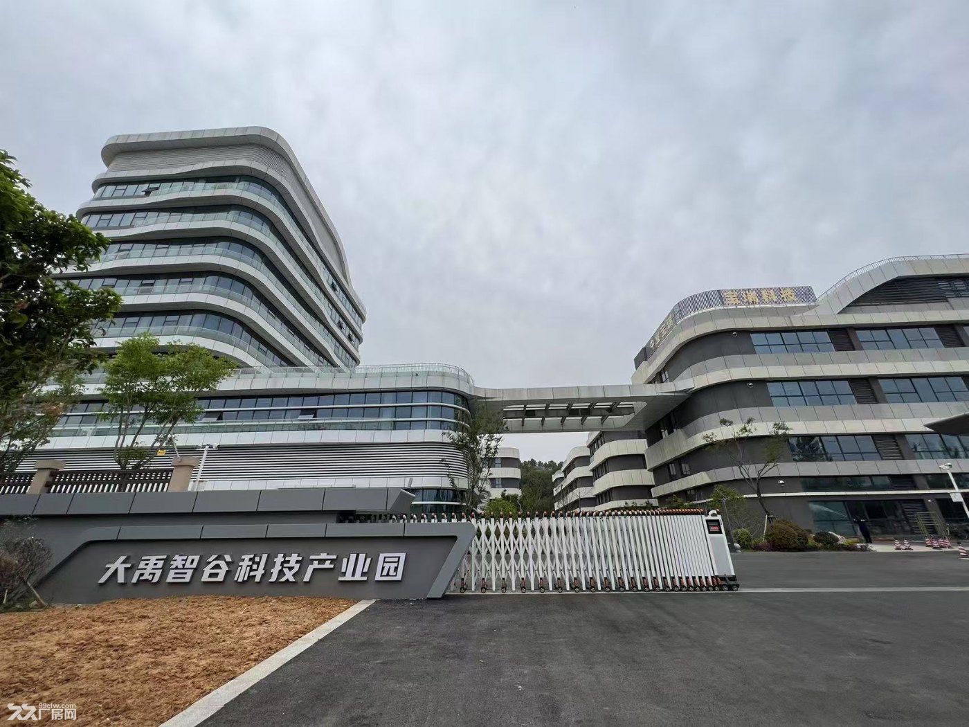 市区独栋厂房赠送露台一年办证 - 6