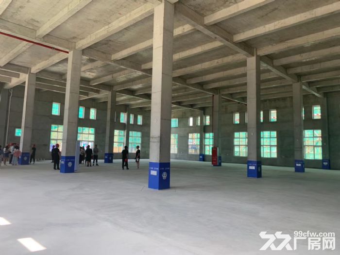 市场稀缺工业园区独栋厂房出售！大消防环评已过，水电入户！大产权可按揭！ - 3