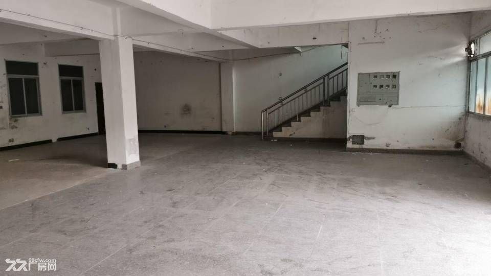 洛江塘西工业区沿街店面厂房出租230/550平，房东直租免中 - 5