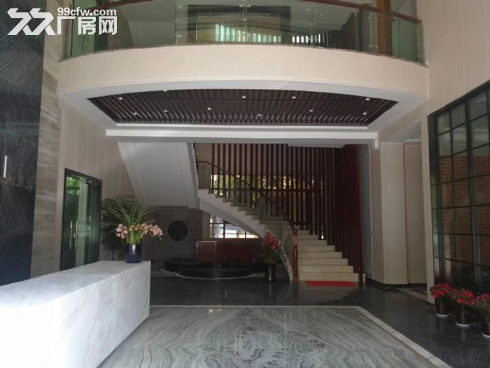 出租龙吴路工业厂房755平2000平可分租,生产,加工,仓库 - 3