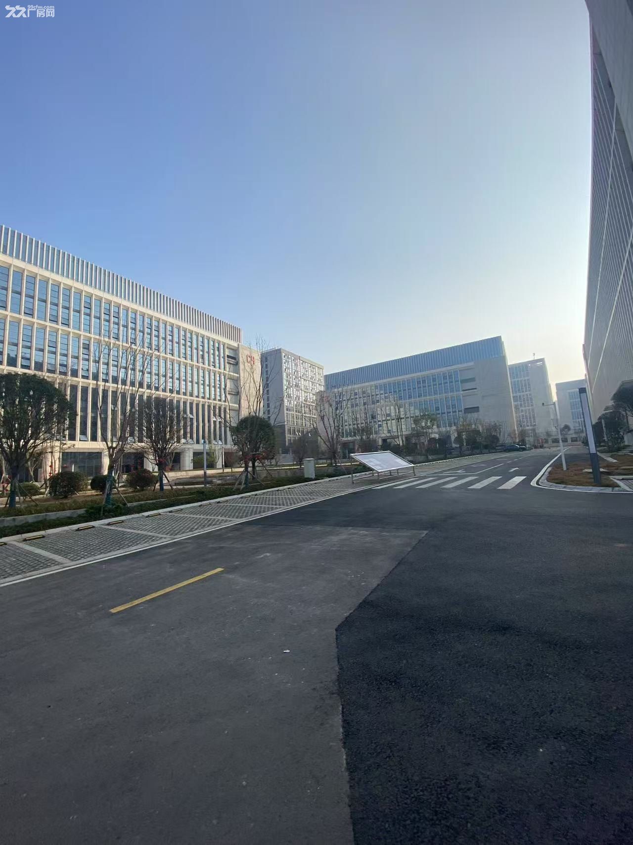 全新厂房出租,政策优惠力度大