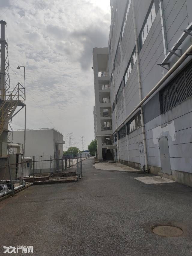 奉贤104地块7万多厂房出租 - 7