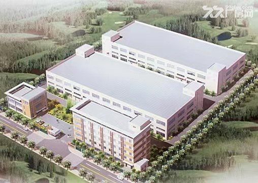 松江新浜工业区独院双层厂房出租，4000平方米起租