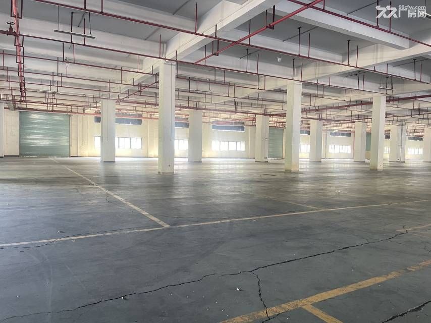 黄埔区工业厂房一楼出租 - 4