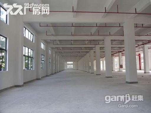 龙岗 新生 一楼厂房精装700m² - 2