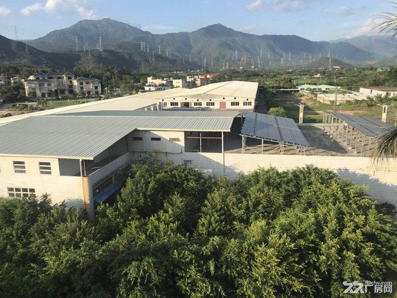 《《合》》惠城区平潭原房东单层钢构3000平方出租 - 6
