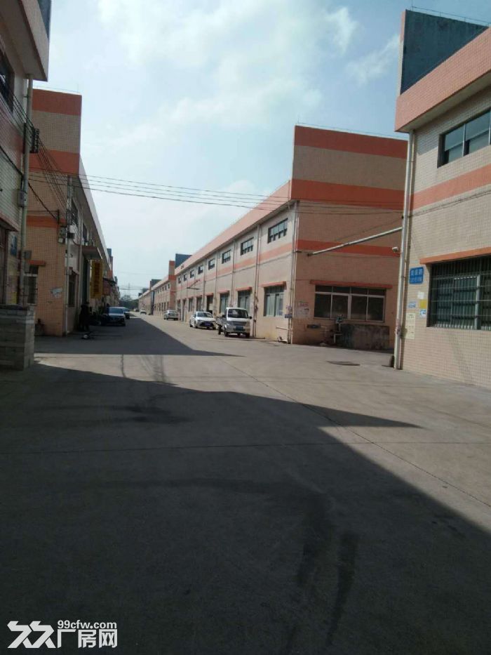 专业代理江门蓬江荷塘镇各村工业区厂房仓库土地租售业务 - 7