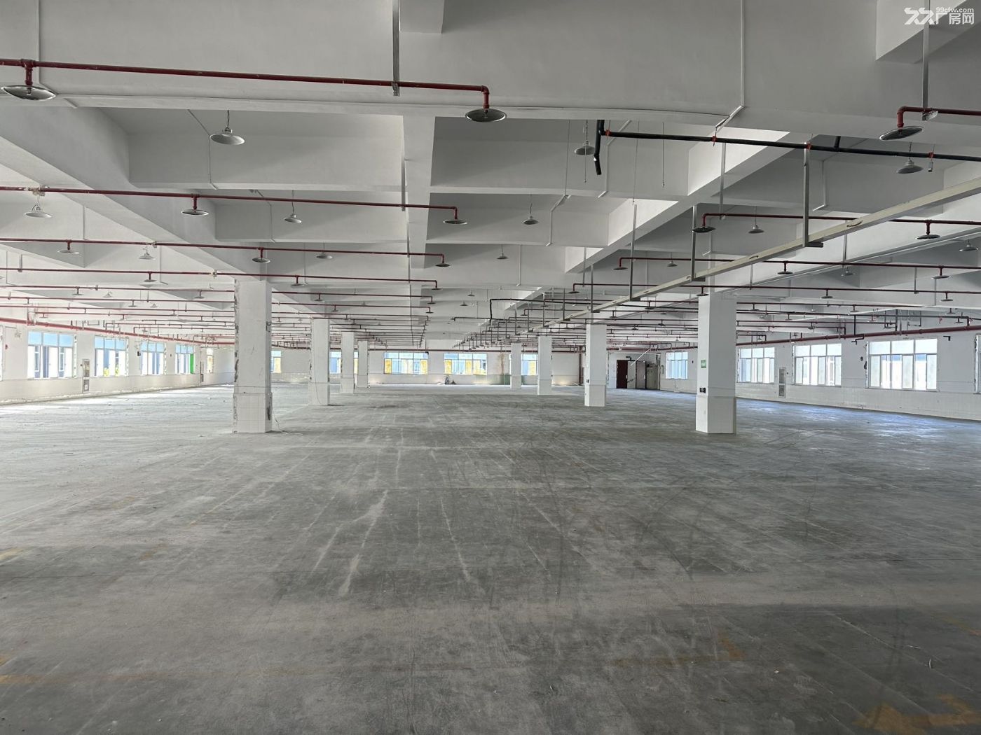 临平开发区五洲路华鼎集团新厂房一楼3300方 - 4