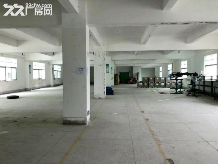 龙岗坂田布龙路边,新出原房东红本一楼厂房1000平,带精装办公室,空地大 - 5