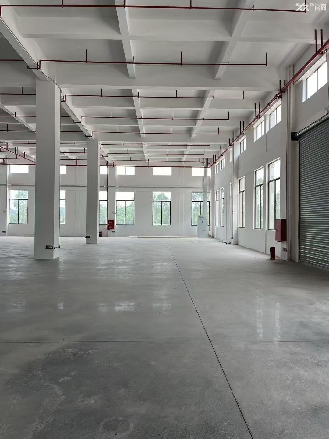 鹤山市鹤城镇标准厂房出租