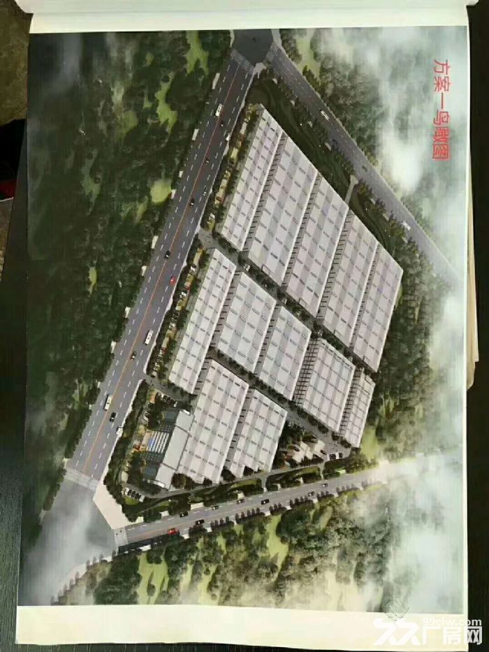 出售龙泉50年产权,单层钢结构厂房,层高13米 - 5