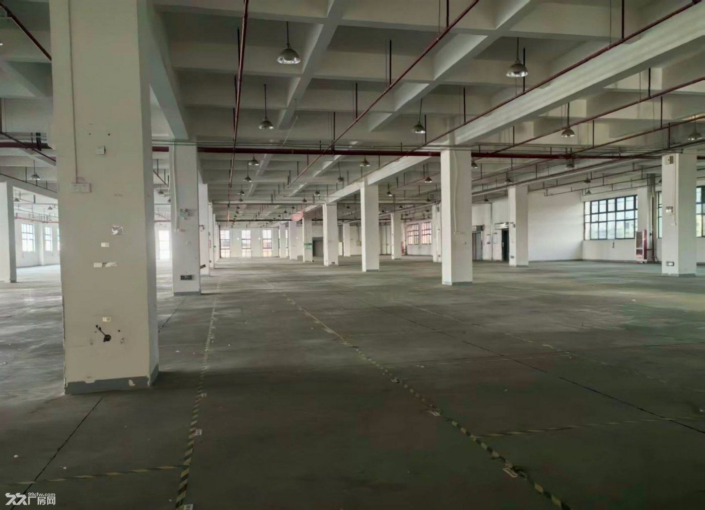 原房东独门独院 场地大 环评好办 大车好进 行业不限 形象好 - 3