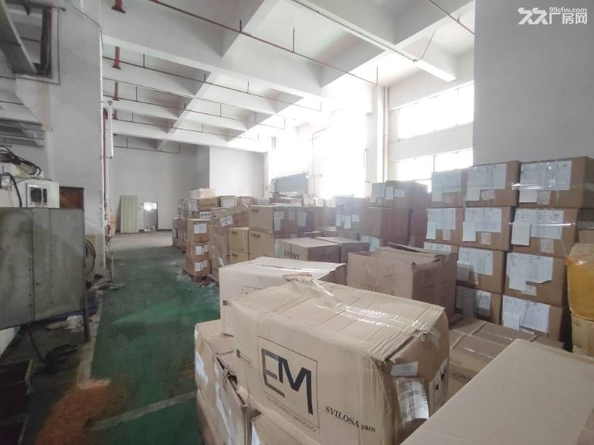 光明高新园区一楼3000平，3楼1800平，可以分租 - 6