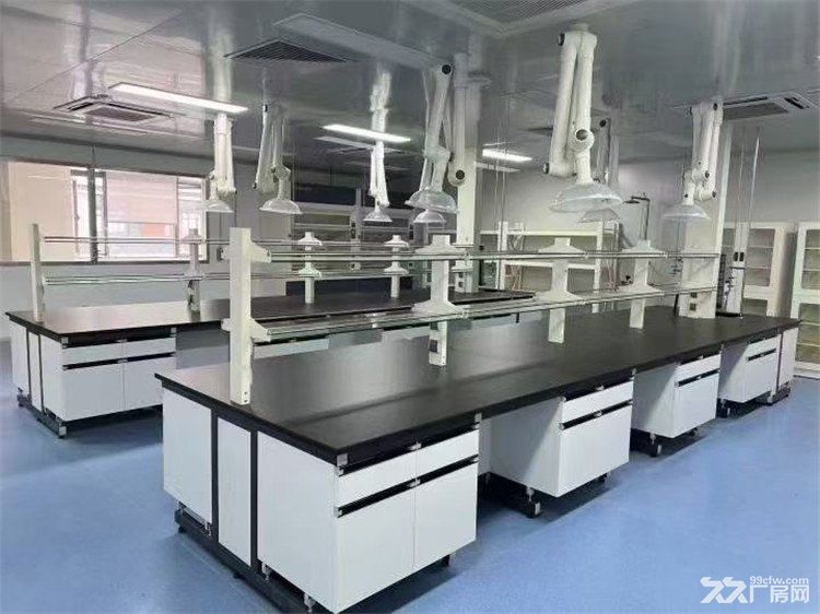 张江药谷核心区、办公实验室出租 - 3