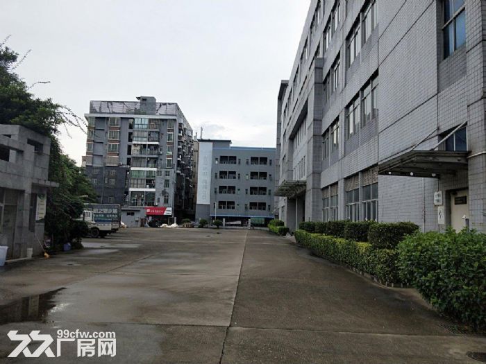 龙岗龙东工业区,标准厂房1200平,低价出租,空地超大,停车位充足 - 4