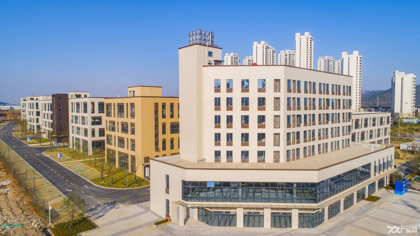 武汉生物产业基地 上市国企大健康主题产业园招商 - 3