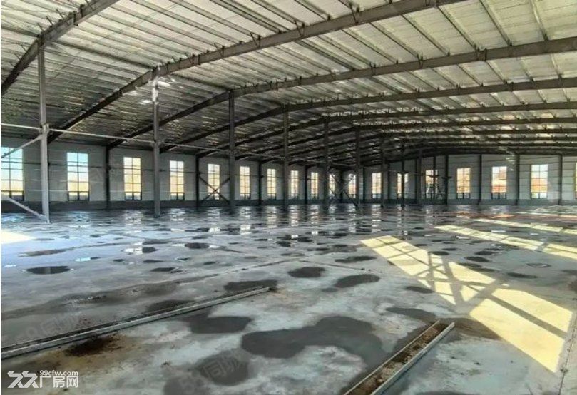 平桥新建9000平标准钢结构厂房 可分租整租