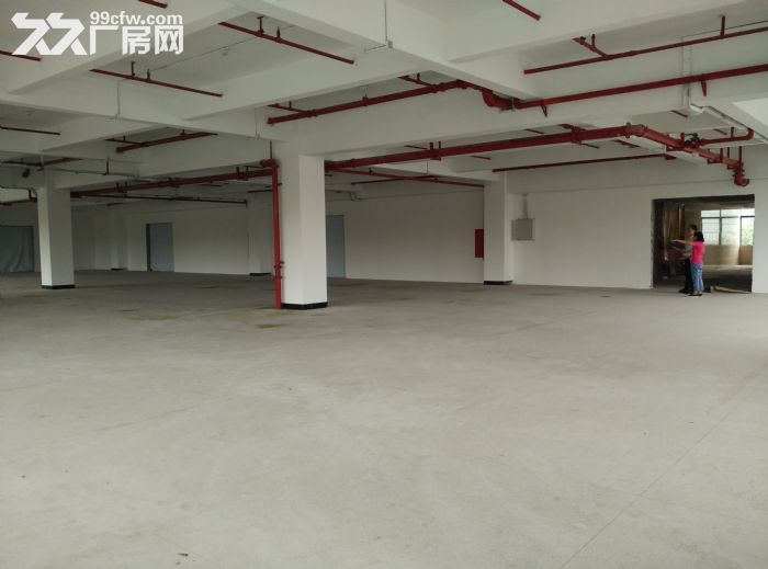 科学城500方至10000方厂房招租 - 3