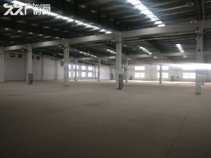 湖东独门独院单层7900平+精装修办公室 - 5