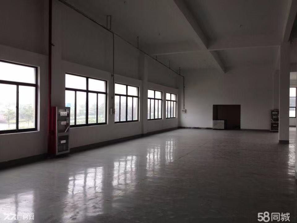 非中介，独栋独院优质仓库、厂房，低价灵活出租，价格可面议
