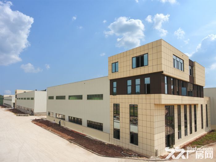 重庆潼南工业园区招商标准厂房出售 - 3