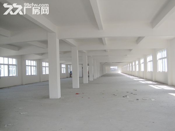 个人.湖熟一楼1000平米厂房或仓库 高度8米，混凝土结构 - 6