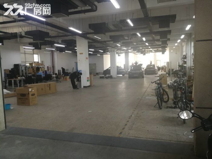 一层无地下 有物流门 可立项环评 仓储 轻加工 组装 - 3