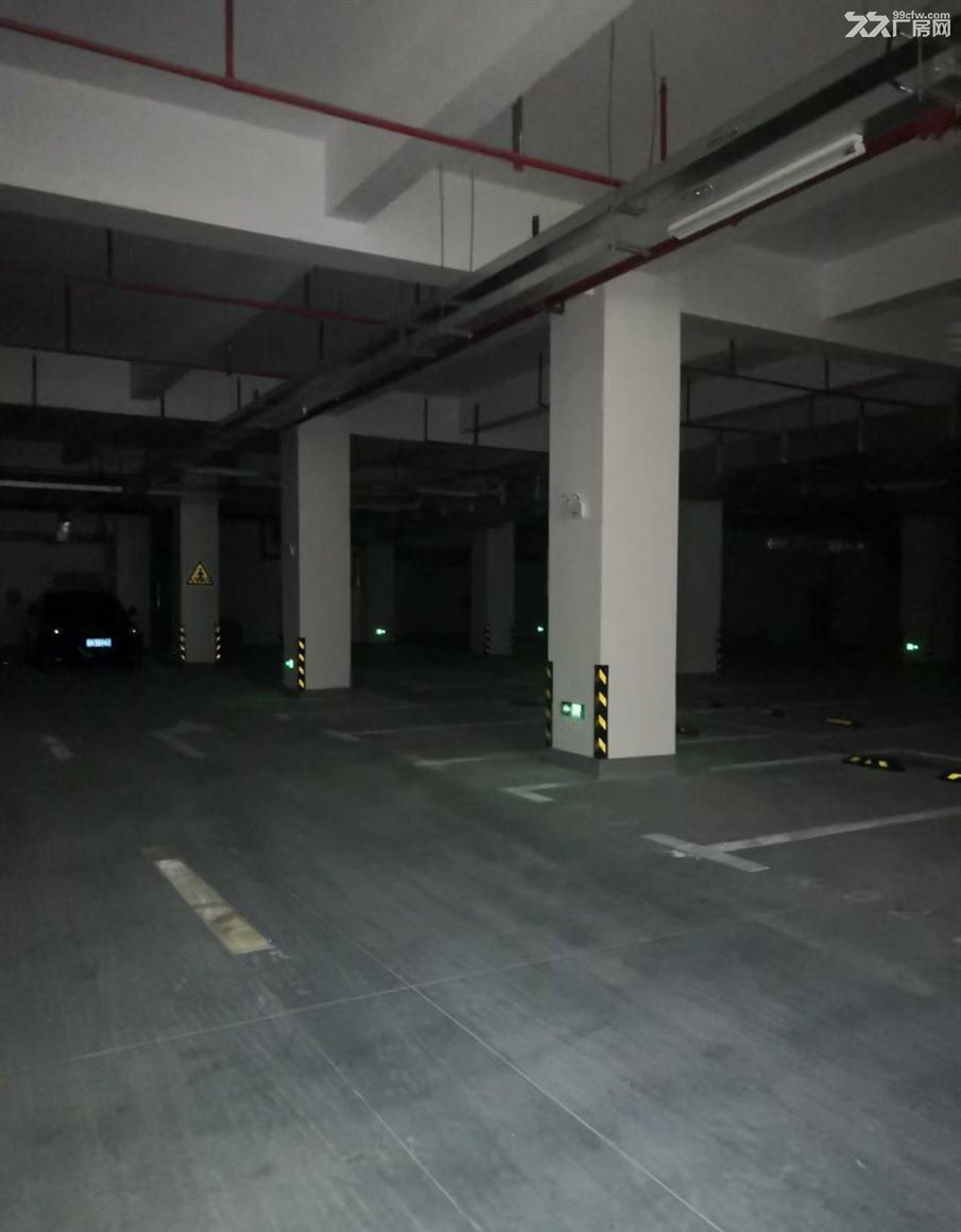 房东出租：房东直租：青浦工业园区 独门独院纽珑科创园区 老板直租厂房 大车好进 - 6