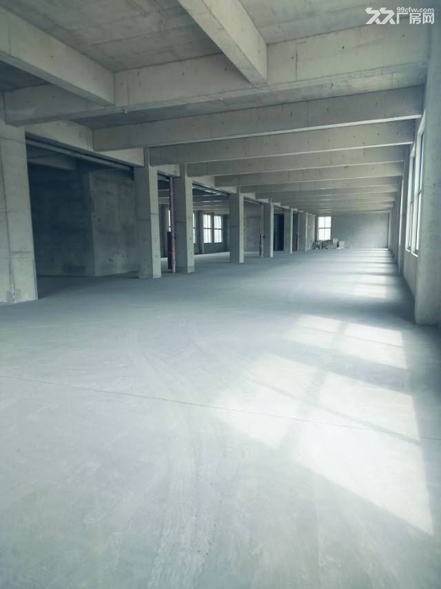 开发区八角全新厂房出租 - 4