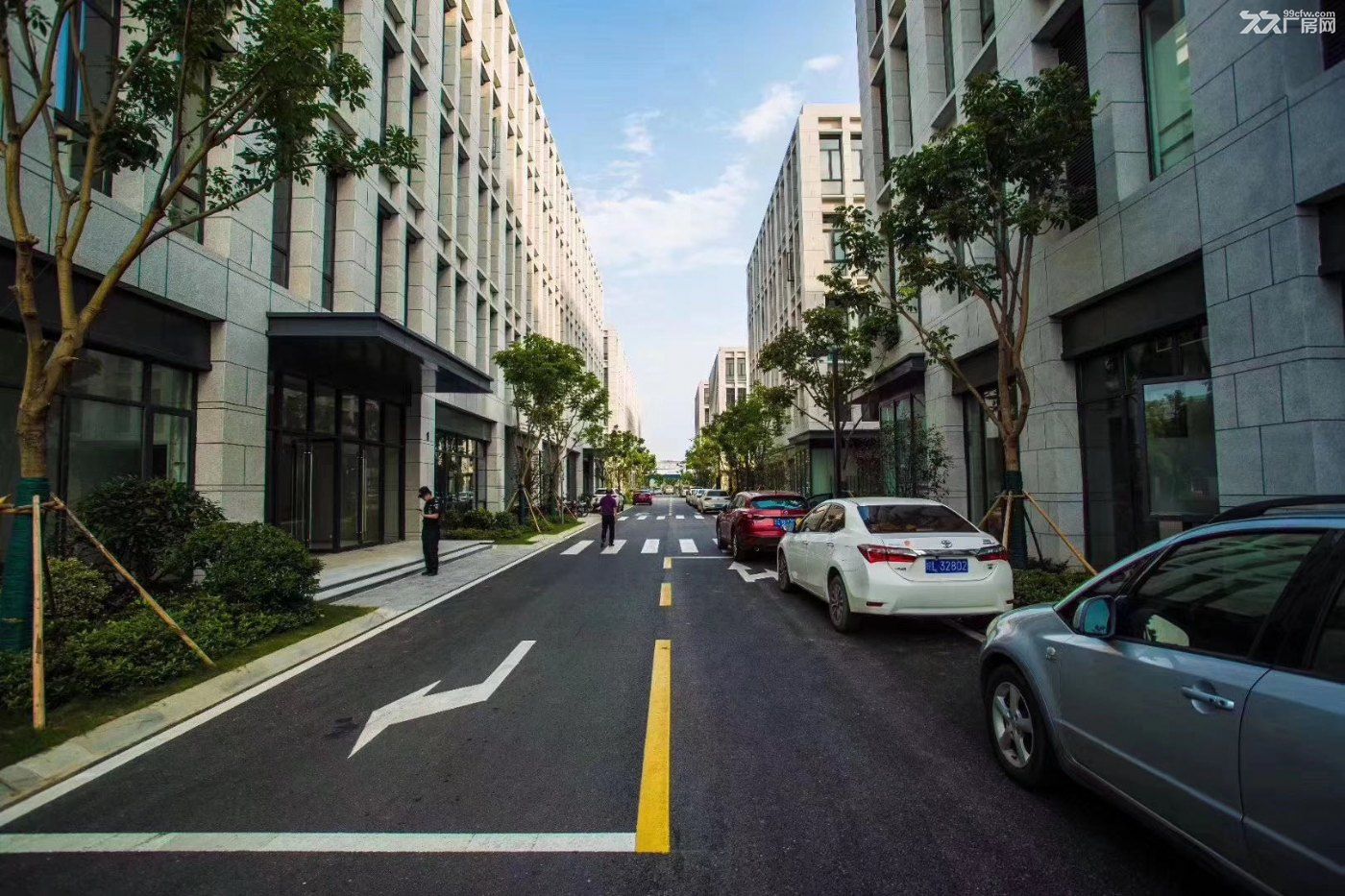 南京江北新区 卸甲甸地铁旁 50年产权 标准厂房 租售