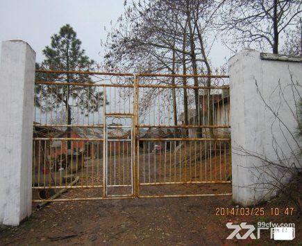 环境优美设备齐全的养殖养猪养鸡场