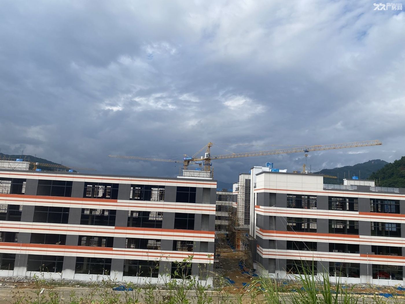 一手厂房出售,可分层出售分层办证,50年独立产权低总价 - 3
