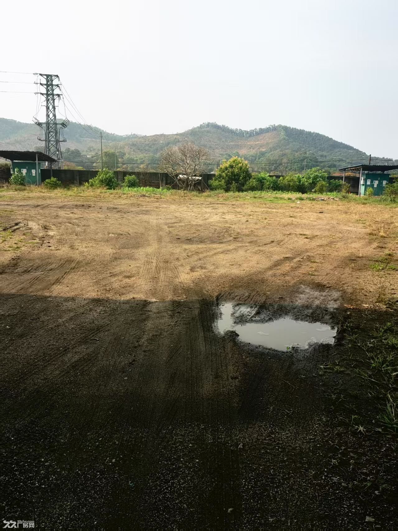 新会单一层厂房按空地价格出租 - 6