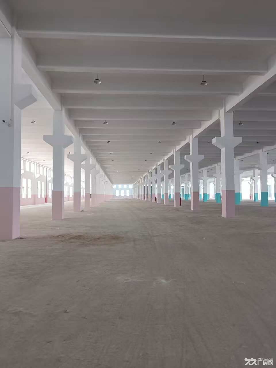 出租咸祥镇工业区标准新厂房80000平方 - 3