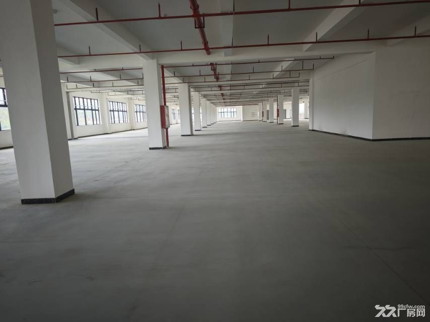 博罗全新7000㎡独栋厂房 - 5