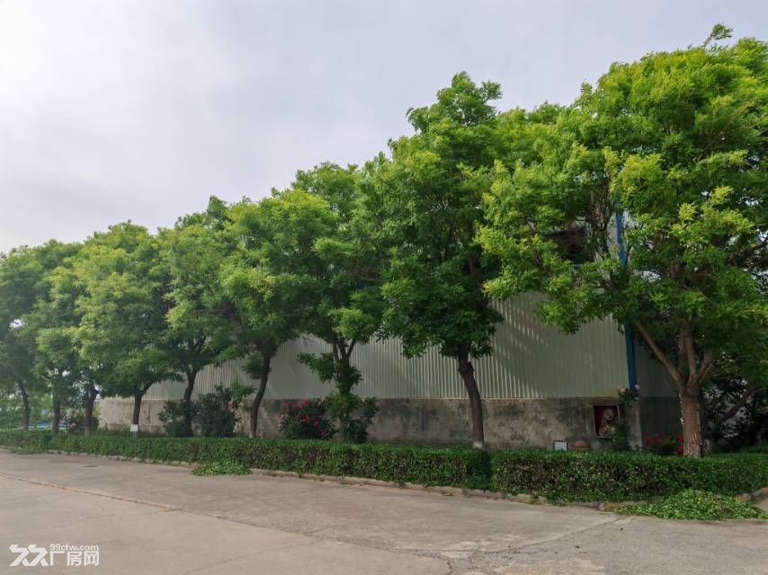 临淄区乙烯南路东段4000平米双层厂房诚意出租，手续全配套全 - 6