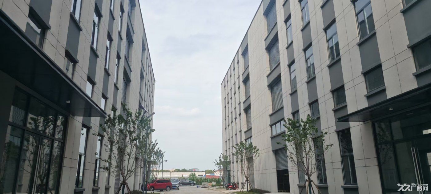 江宁全新高标厂房出租出售，抄底处理，最后三套 - 5