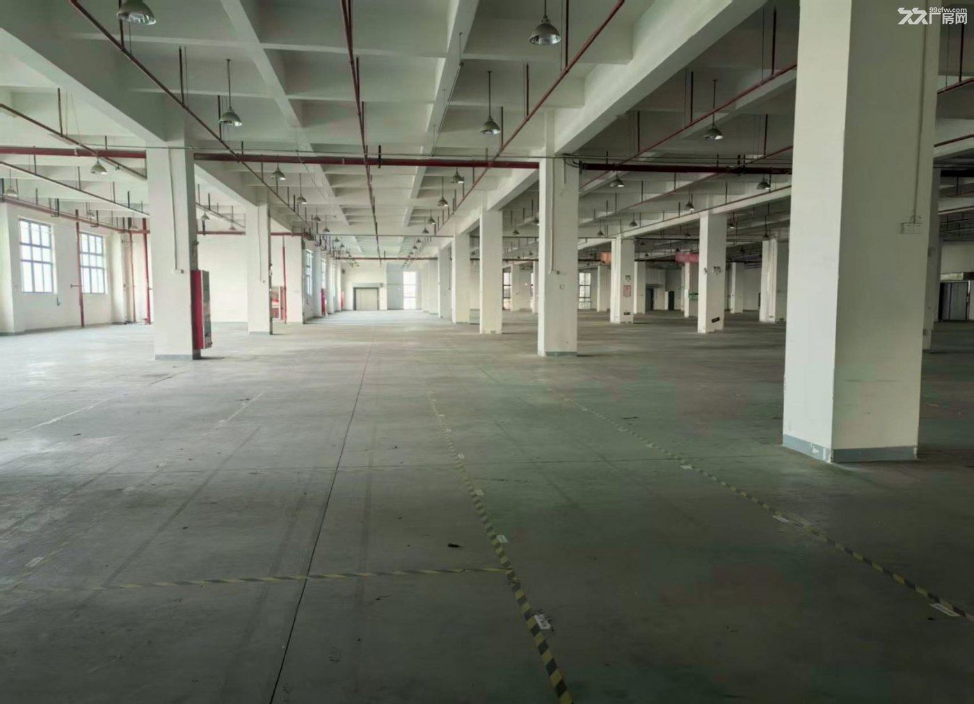房东直租：原房东独门独院 场地大 环评好办 大车好进 行业不限 形象好 - 5
